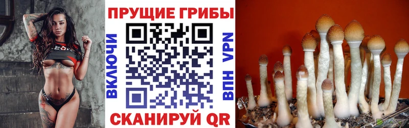 OMG как зайти  Юрьевец  Галлюциногенные грибы мухоморы 